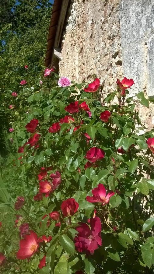 Lembaudie Saint-Privat-des-Pres Luaran gambar
